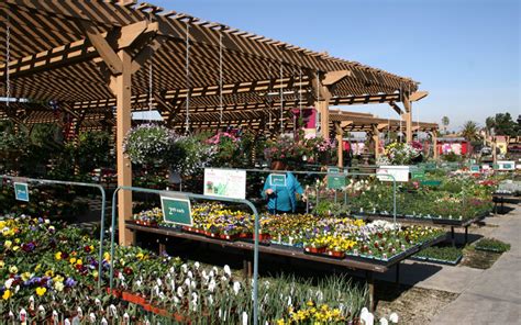 Armstrong Growers is a wholesale, Employee-owned company that has been serving Independent Garden Centers, premier Resorts, Commercial Properties and Landscape Maintenance Companies throughout California, Arizona, Nevada, Utah and New Mexico for more than 30 years. . Armstrong garden center